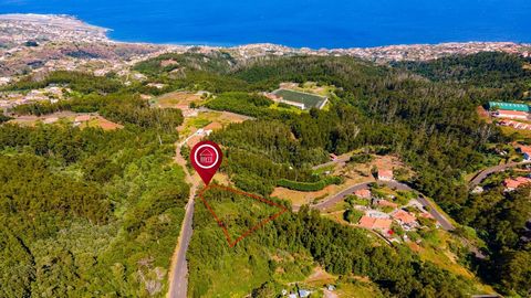 Land with 3,755 m², in front of the road and with the Levada Dos Tornos pass surrounded by the peace and the pure air of nature, with sea and city views! Located in one of the most coveted corners of Madeira, we can build a luxury villa with the best...