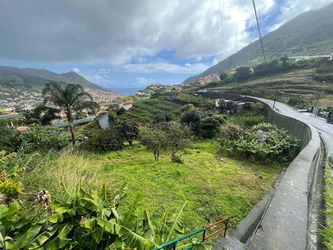 Land for sale with an area of 580 m2 on the side of the road, located in the site of Caramachão in Machico. Located just 10 minutes from the center of Machico, you can build your dream home here, in a safe and quiet location. Being close to the city ...