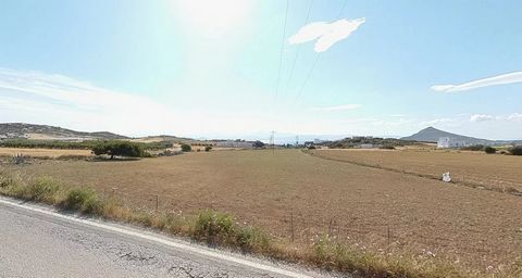 A corner plot of land for sale in Eastern Paros, on the provincial road, with an area of 5795 square meters. Its location offers a wonderful view towards the sea, making it suitable for both business and residential use.