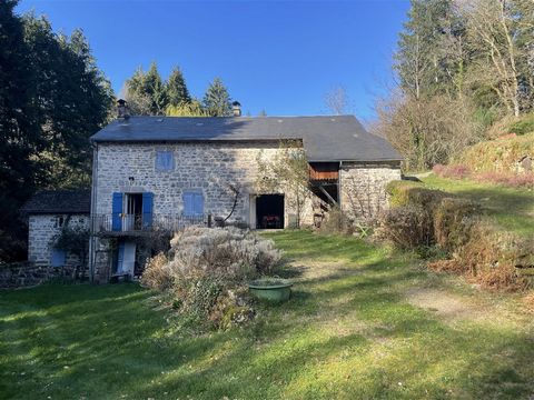 Lots of character for this residential house located in the town of Peyrat-le-Château, 15 minutes from Lake Vassivière. The house, accessed via a private road, is made up on the ground floor of a beautiful living room with a wood stove opening onto a...