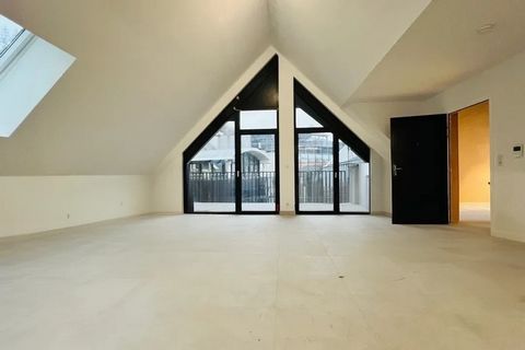 photo no. 2