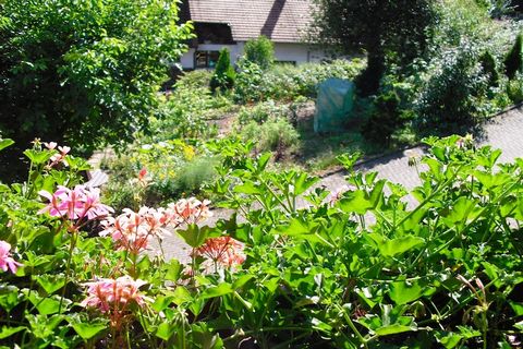 Het prachtig onderhouden dorp Hofstetten met talrijke boerderijen ligt ingebed in een glooiend dallandschap in een unieke omgeving. Het dorp ligt in een zijdal van de Kinzig, op slechts 2 km van het stadje Haslach. Deze nog in bedrijf zijnde boerderi...