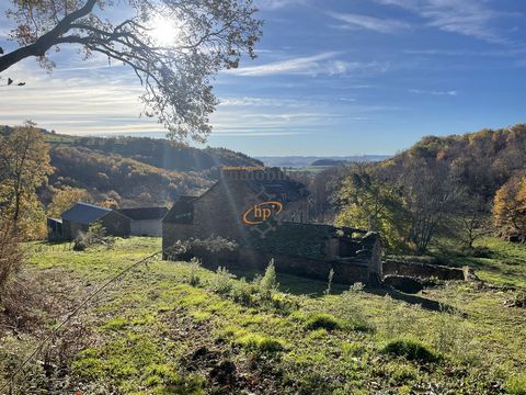 Viala du Tarn gebied, 8 km Bouloc, eigendom bestaande uit een stenen huis en een te renoveren huis op 8217 m2 grond. Hoofdgebouw 56 m2 woonoppervlak, woonkamer 24 m2, open haard, slaapkamer 18 m2, doucheruimte 14 m2, in te richten zolder met een pote...