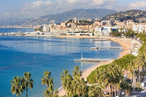 Ce charmant studio est situé au cœur de Cannes, à seulement 50 mètres de la rue d'Antibes et à 400 mètres de l'emblématique Croisette. Situé au premier étage d'un immeuble sécurisé avec accès par ascenseur, le studio est entièrement équipé et conçu p...