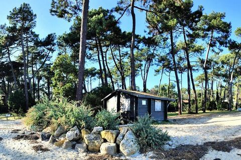 Ontdek deze aangename en grote villa van 130 m² gelegen in Cap Ferret, in een rustige omgeving, op een paar seconden lopen van het Plage des Amériques (200 m), een schattig en intiem strand in de baai van Arcachon. Op 2 minuten lopen van de pier van ...