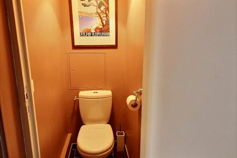 photo no. 12