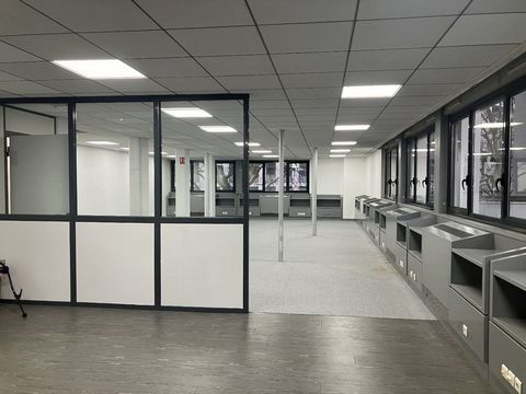 photo no. 3