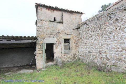 photo no. 2