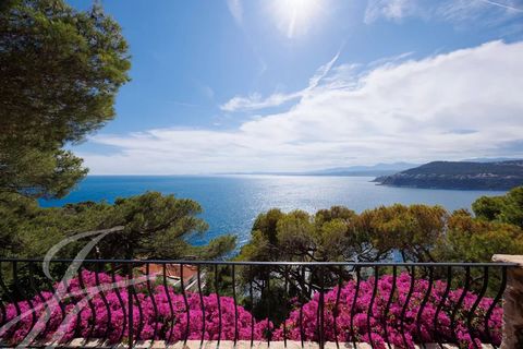 This property located on the West side of Cap-Ferrat is an oasis of greenery and sunlight - the 7000 sq.m. of garden benefit from the best West exposure and from the panoramic sea view up to Cap d'Antibes... The villa on 2 levels is of prvençal archi...