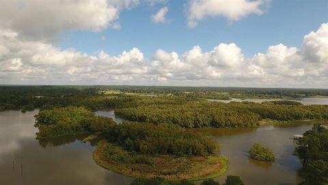 279.39 +/- ACRES WATERFRONT WITH MAIN LAKE LIVINGSTON ACCESS, DIRECT ACCESS OFF HWY 94 WITH OVER 100 FT FOR INGRESS/EGRESS AND IT IS UNRESTRICTED! There is approximately 6,200 ft of waterfront with this property and the waterview's are outstanding of...