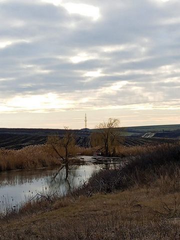 Продается участок площадью 600 соток. Расположение: поселок Мускатный. Коммуникации: электроснабжение. Категория земли - земли с/х назначения, разрешенное использование - сельхоз производство. Оформлено в собственность. Продается земельный участок 6 ...