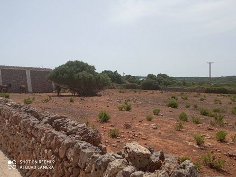 MENORCA ES UN PARAÍSO CERCANO. Se vende terreno urbanizable en Alaior, con una extensión aproximada de 24.000 m² y una construcción existente de unos 200 m² utilizados como boyera. Este terreno forma parte de la parcelación en desarrollo del nuevo pl...