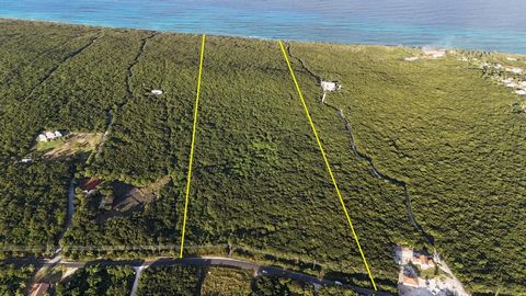 Introducing Pineapple Estate, a 70+ acre Clifftop parcel on the Atlantic Coastline with just under 1,000 feet of Ocean frontage, located in Eleuthera, The Bahamas. Situated just outside of Gregory Town, one of the oldest settlements in The Bahamas, w...