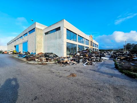 Magazijn met 1.921m² nabij de snelweg A2, in Palmela, Setúbal. Magazijn met uitstekend zicht en grote ramen, tegenover Estrada de Vila Amélia, in de parochie van Quinta do Anjo. Minder dan 5 minuten van de snelweg A2 en 20 minuten van Lissabon en Set...