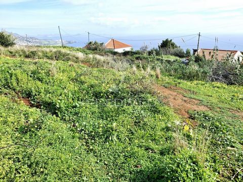 Terreno Rústico para construção com área total de 3861m2, situado no Concelho Santa Cruz, Freguesia de Gaula, Caminho João Nicolau Viera Freitas (arquipélago da Madeira) a cinco minutos da Via Rápida. De Acordo com plano PDM os Prédios estão inserido...