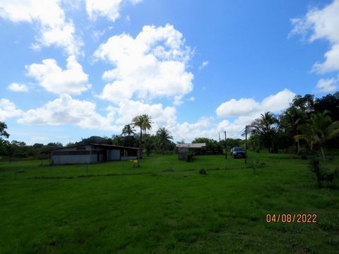 photo no. 1