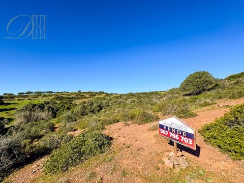 Deal Homes présente, Terrain rustique de 17320m2, situé dans la région de Guadalupe, près du village de Raposeira. Composé de végétation et d'arbres, il a des zones plus plates et d'autres avec un certain déclin. Situé à quelques minutes en voiture d...