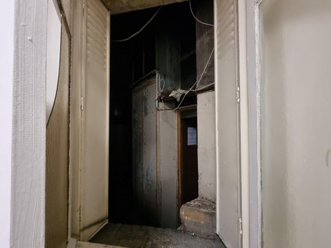 photo no. 6