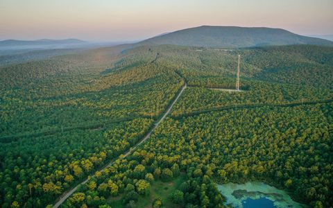 Poteau Mountain North is a 401-acre tract that borders over 340,000 acres of the Ouachita National Forest. This tract is primarily pine timber with a good mixture of hardwoods. Access to this property is incredible, with Poteau Mountain Road serving ...