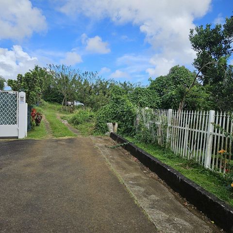 photo no. 1