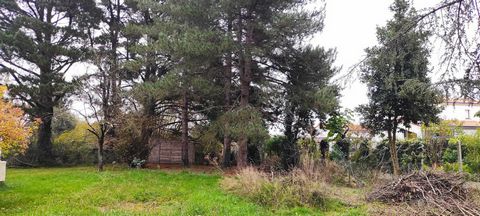 photo no. 4