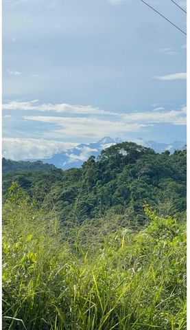 Sale of an ideal farm for eco-tourist development in the Sierra Nevada de Santa Marta, on the road that leads from the Caribbean trunk road to Ciudad Perdida, about 4 kilometers approximately from the Caribbean trunk road, near Machete Pelao. It has ...