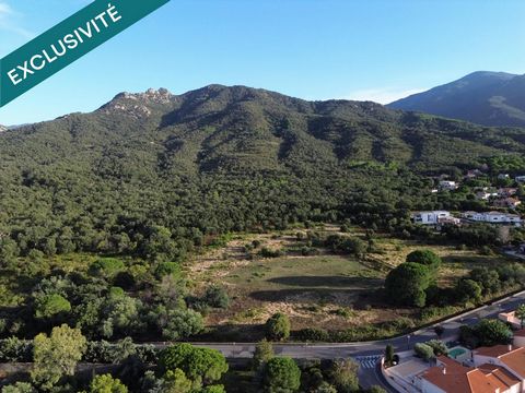 Grand terrain 4 faces viabilisé prêt à construire