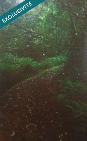 TERRAIN EN ZONE CONTRUCTIBLE ET TERRAIN EN ZONE AGRICOLE