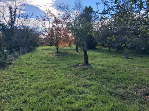 Terrain situé à Noé de 1493 m 2 constructible et éventuellement divisible.
