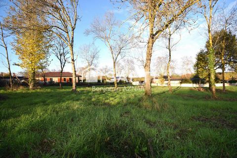 Superbe terrain plat.