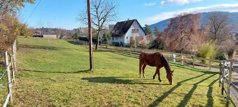 Terrain de 5 ares constructibles, cadre verdoyant et calme