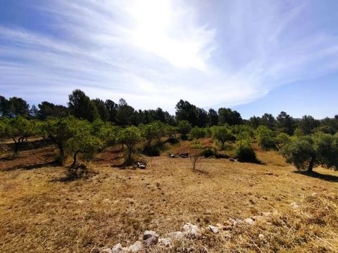 This finca would be perfect for a glamping business, ideal for people who want to get away to the country. It has mains electric and water connected to the land, it really is a beautiful location. With 15000 sq mtrs of almonds and olive trees and rin...