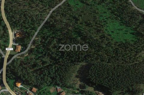 Identificação do imóvel: ZMPT551332 ID de propriedade: ZMPT551332 Dois terrenos rústicos de terra no Pinheiro, Felgueiras, um com 14.000 m2 e outro com 9.000 m2. Localizado na paróquia de Sendim, é considerado um investimento futuro, dada a proximida...