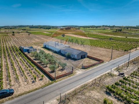 We present this fantastic rustic and urban property located in the parish of Alpiarça, in the town of Frade de Cima, with a total of 2.15 ha, close to the future logistics center of Fazendas de Almeirim. This property has about 2 ha of Rustic Land, w...