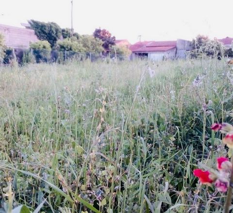 Land with a total area of about 960m2 Ideal for cultivation, it features several fruit trees. With small construction structure that allows to be recovered for storage. Want to know more? Contact us for more information.