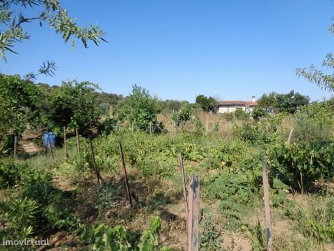 Very good land with plenty of fruit trees and lots of water. Well situated 150 meters from the national road. Excluded from the SCE, under Article 4, of Decree-Law No. 118/2013 of 20 August.
