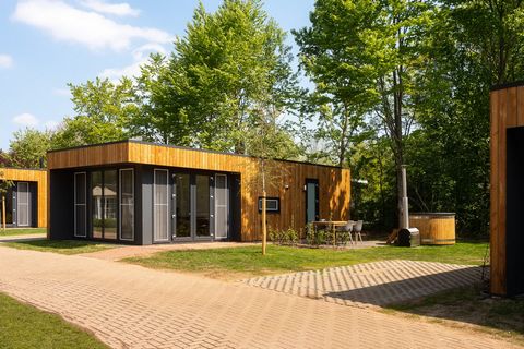 To be out for a long vacation or a weekend or midweek at the rippling river De Regge is an excellent destination. The park lies on the border of the region Salland and Twente, with vast forests and heaths for pleasant walks and bike rides through the...
