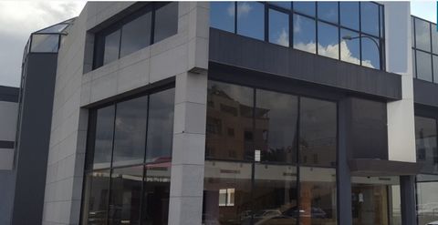 Description The asset is a commercial building in Strovolos municipality, Nicosia district. The asset is located on Strovolou Avenue, 800m north of Metro roundabout. The building comprises of a ground floor showroom of 550sqm with mezzanine showroom ...