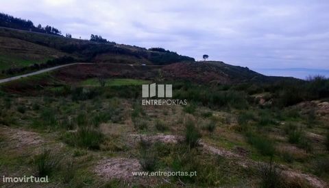 Land for sale with Mill to rebuild. He confronts with brook and road. Situated near the variant. Fantastic views. Soalhães, Marco de Canaveses Ref.: MC08877 BETWEEN DOORS Founded in 2004, the ENTREPORTAS group over 15 years old, is a leader in real e...