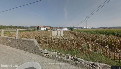 Plot of land with 300m2, for sale. Construction area of 270 m2 and implementation area of 95m2. Feasibility of construction of villa with basement, r /c and 1st floor. Located in T ouguinha, 3km from the town of Vila do Conde and Póvoa de Varzim. Exc...
