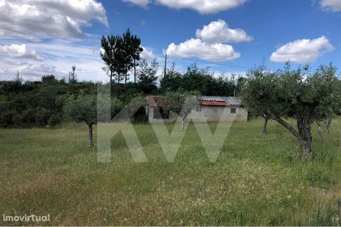 Flat land, ideal for those looking to rebuild, it has a storage house with 37m2, tank, water well and electrical panel. It is on the road from Galizes to Vilela, with good access to the main road Located 8 km from Oliveira do Hospital and 16 km from ...