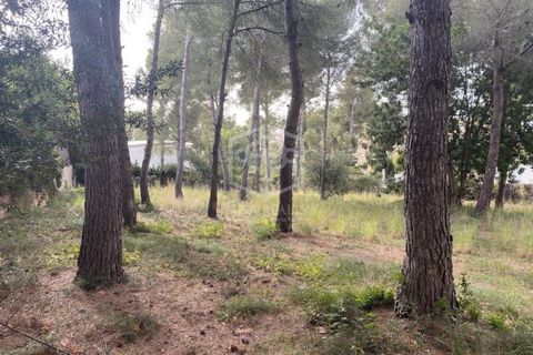 Sale of a large plot of land with the regular shape in Segur de Calafell, 1 km from the sea and close to all commercial infrastructure. The size of the plot is almost 1.900 m2 and according to the urban planning standards of this zone allows the cons...