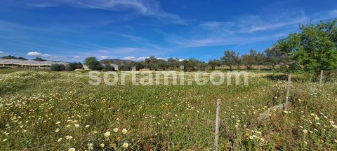 Excellent plot of rustic land in Estoi! With a fertile soil and an area of 6040m2, this land is ideal for agriculture and the cultivation of fruit trees, such as orange, fig and plum trees. Excellente location, the sunny lands of the Algarve are the ...