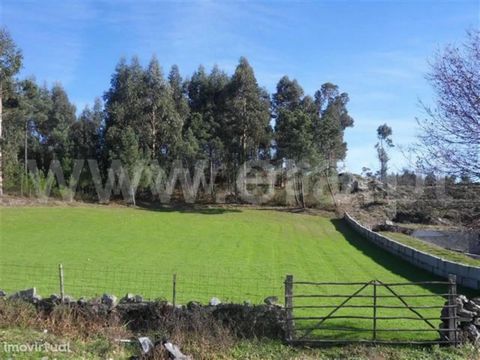 Rustic land with a total area of 10.400m2, all flat and with a good sun exposure. Area with plenty of water, great for cultivation. Excluded from the SCE, under Article 4 of Decree-Law No. 118/2013 of 20 August.