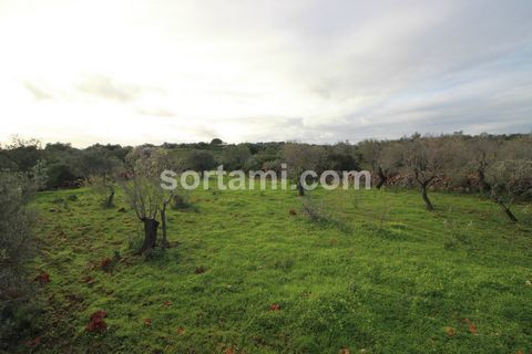 Plot of rustic land with 9200m2, in Silves. This land offers a peaceful and residential area, perfect for those looking for a getaway away from the hustle of the city. Located in a stunning setting, surrounded by nature, this land is ideal for those ...