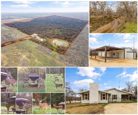 Serene 120 acre ranch in Hillsboro, TX, perfect for nature enthusiasts & hunters. This recently updated gem ensconced in the tranquil beauty of Texas offers a unique blend of rural retreat & urban convenience. Complete with a newly remodeled main hou...