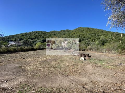 Terra Immobilier Solenzara offers for sale a building plot of 858 m2. It is a flat land, well exposed South-West which gives it a beautiful sunshine. Its geographical location places it 10 minutes from the Bastia-Bonifacio territorial axis. The netwo...