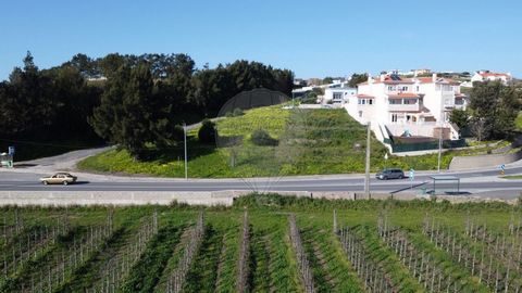 Description Plot of land with 507m², for construction in Gibraltar - Ponte do Rol - Torres Vedras, with feasibility of building a T4/T5 house, Maximum Construction Area of 275m² with basement (75m²) and two floors. Located 7 min from Torres Vedras (1...