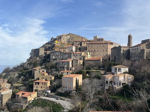 It is in the village of Speloncato that this house dating from the beginning of the 19th century is nestled Work is to be expected but there is great potential with the possibility of making two or even three dwellings A breathtaking view of the vall...