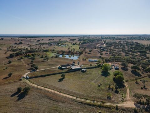 In the silence and tranquility of the Alentejo, away from the stress and bustle of the cities an hour from Lisbon, near the village of São Cristóvão, typically Alentejo, located halfway between Montemor and Alcácer do Sal, the sea, the plain and on t...